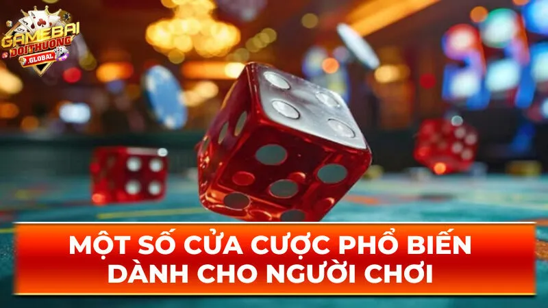 Một số cửa cược phổ biến dành cho người chơi 
